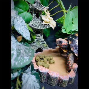 máng ăn máng nước bò sát