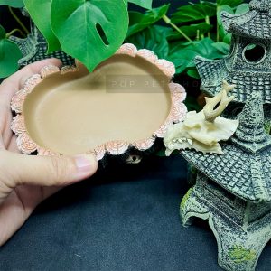 máng ăn máng nước bò sát