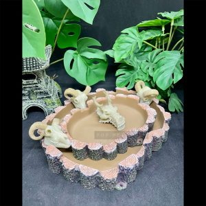 máng ăn máng nước bò sát