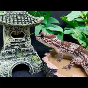 máng ăn máng nước bò sát