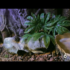 thiết kế chuồng bò sát