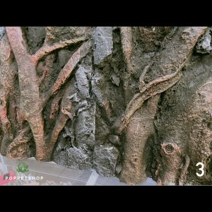 thiết kế chuồng bò sát