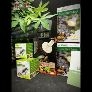 Thiết Kế Chuồng Bò Sát