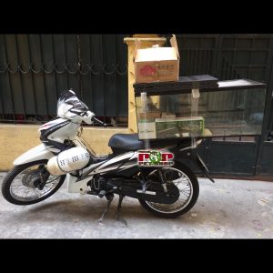 Thiết Kế Chuồng Bò Sát