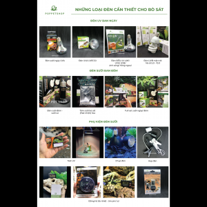 Thiết Kế Chuồng Bò Sát