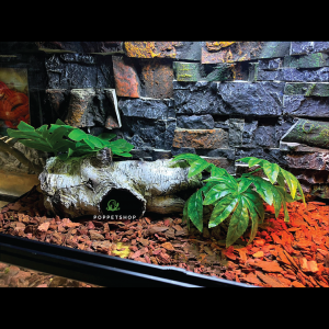 Thiết Kế Chuồng Bò Sát