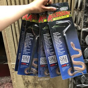 Rắn Bò - Bullsnake