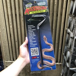 Rắn Bò - Bullsnake