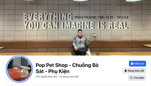 chụp đèn bò sát